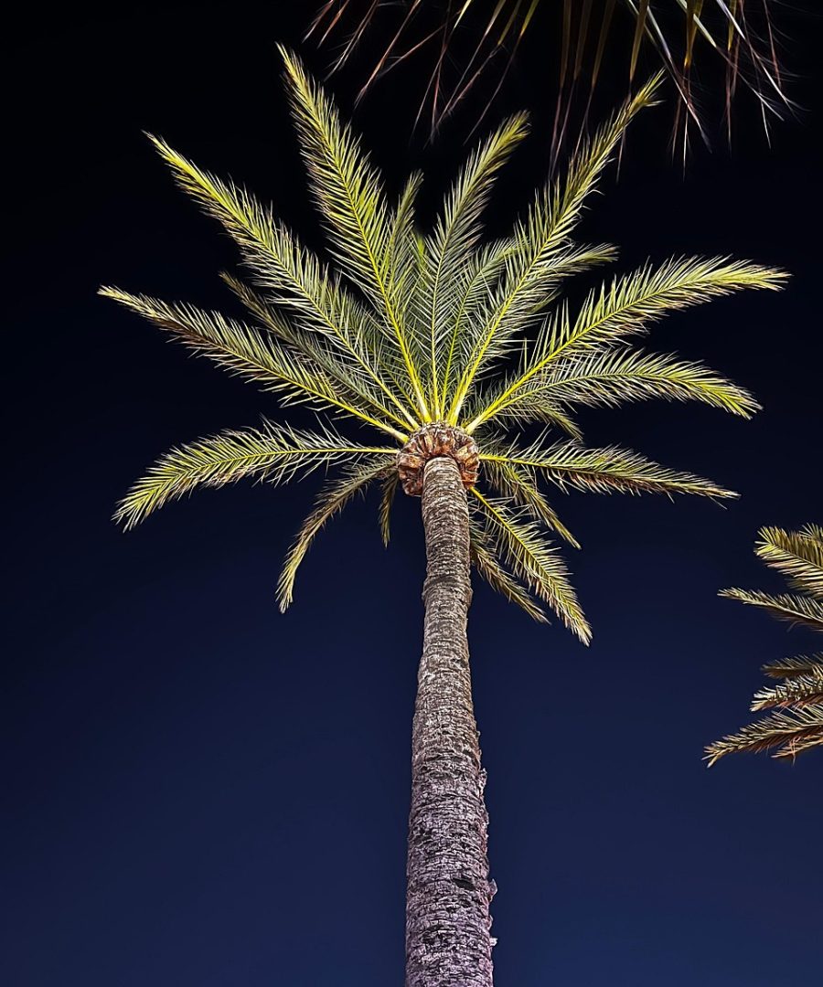 即看影视 App 主界面在深紫色夜空背景的手机屏幕上展开，剧集封面与选集列表整齐排列，营造安静夜间的追剧氛围